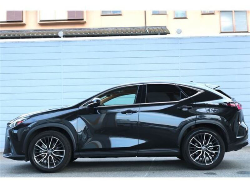 NX