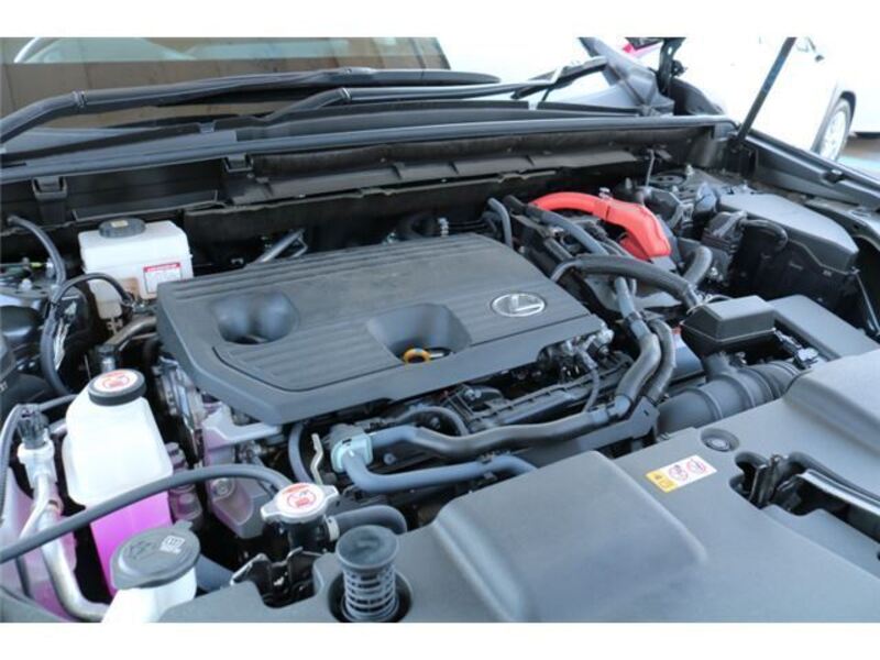NX
