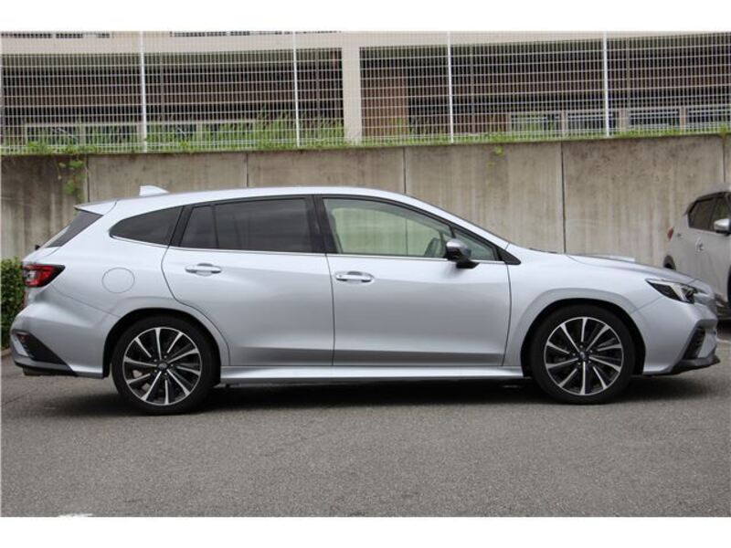 LEVORG