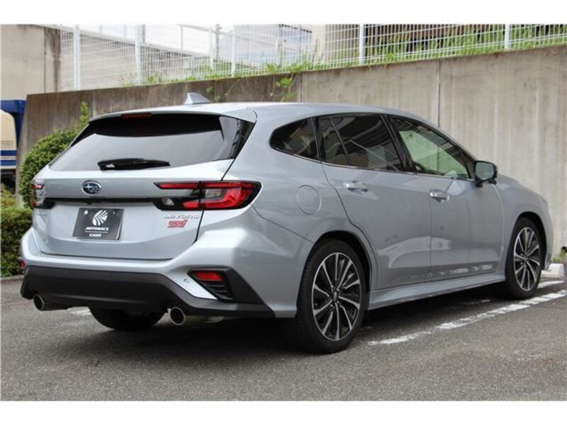 LEVORG