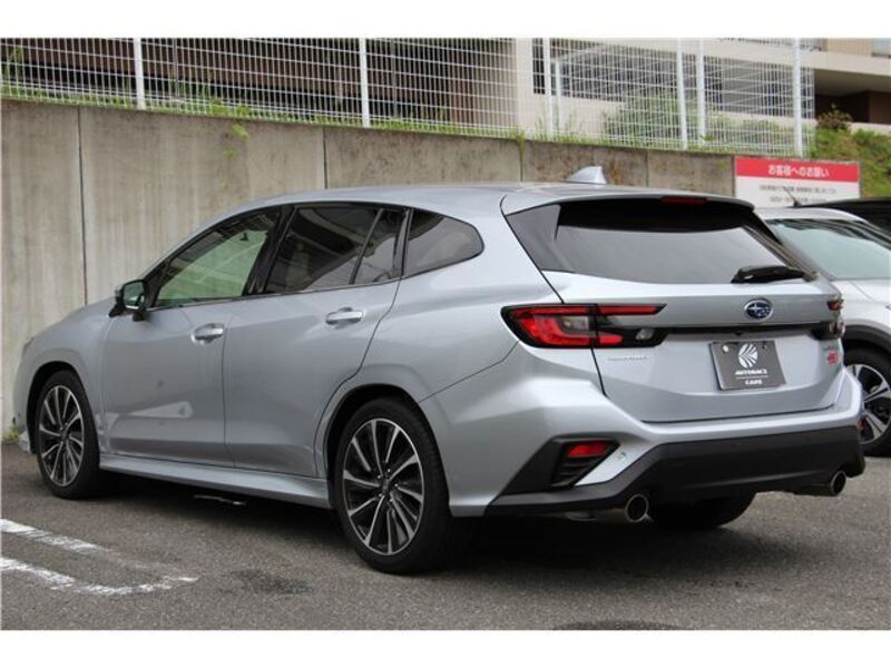 LEVORG