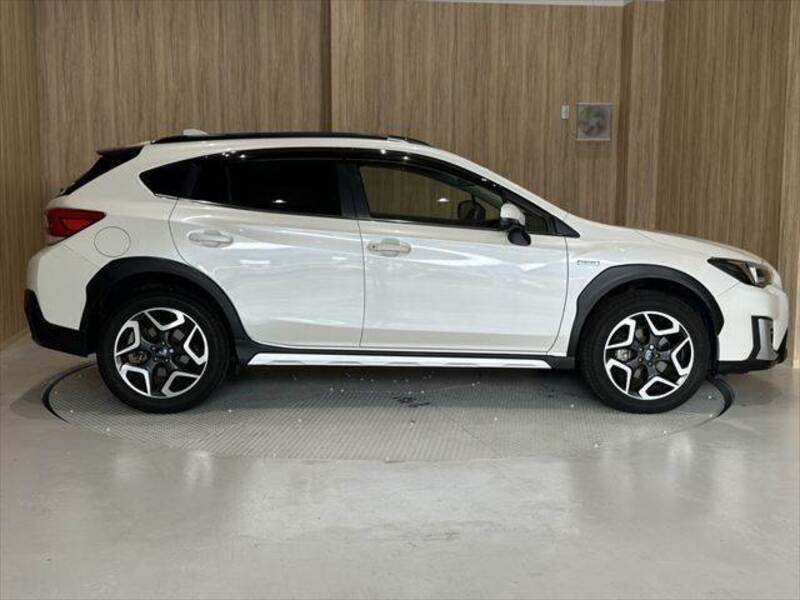 XV