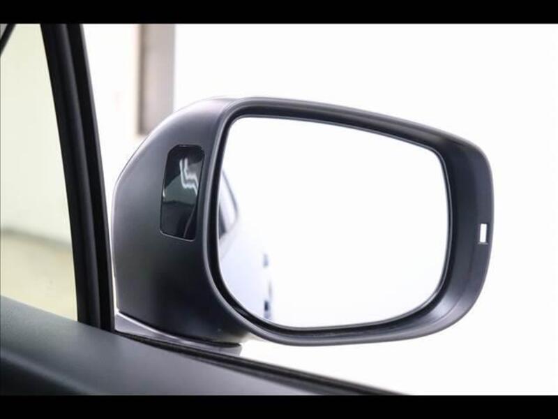 XV