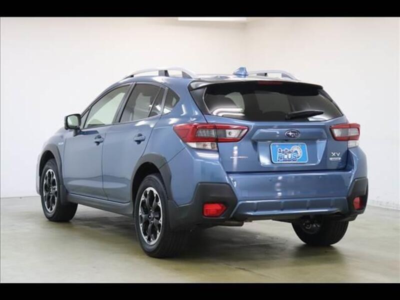 XV