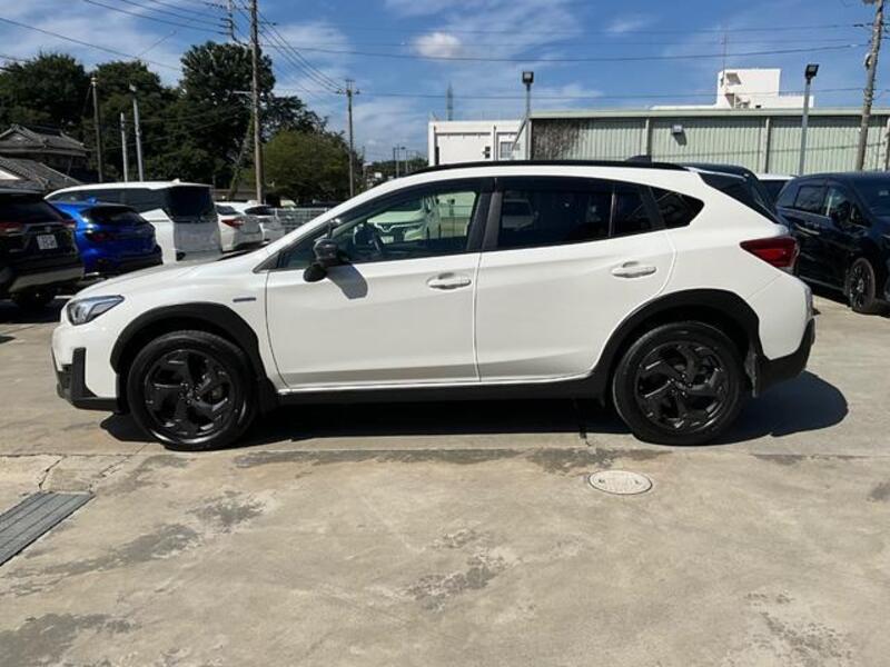 XV