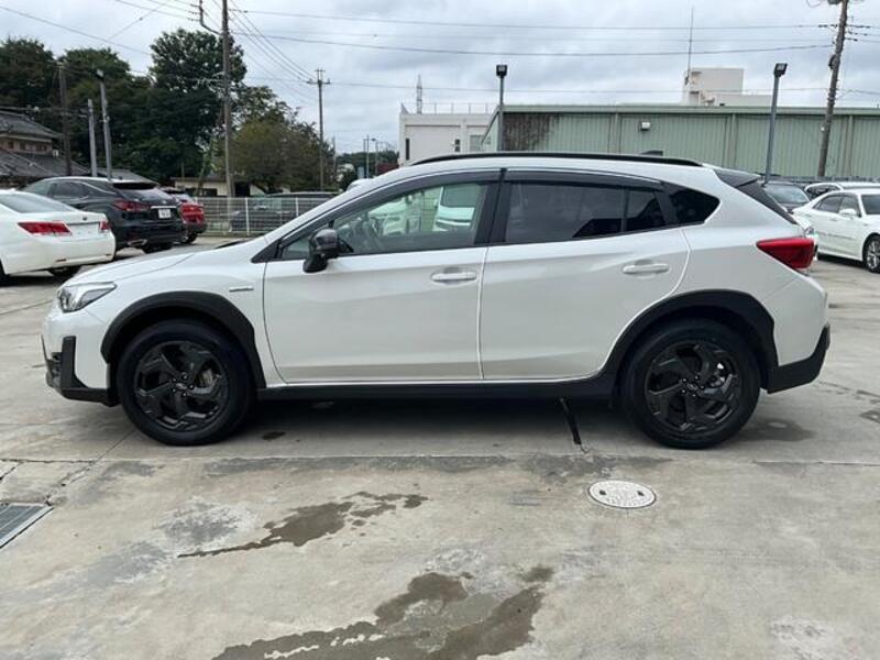 XV