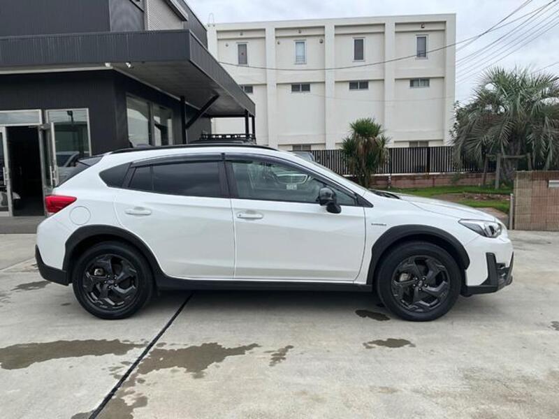 XV