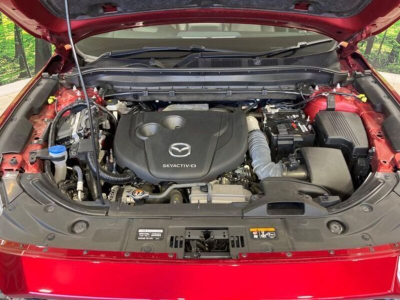 CX-8