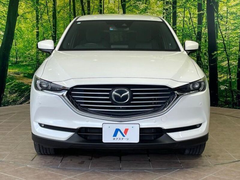 CX-8