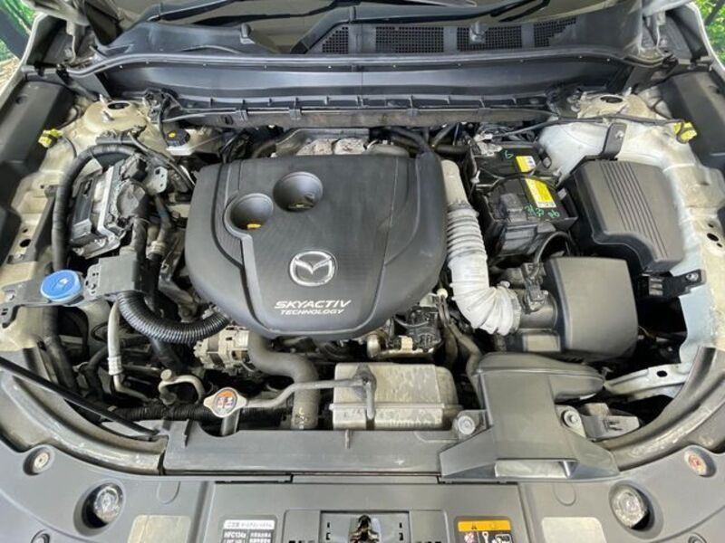 CX-8