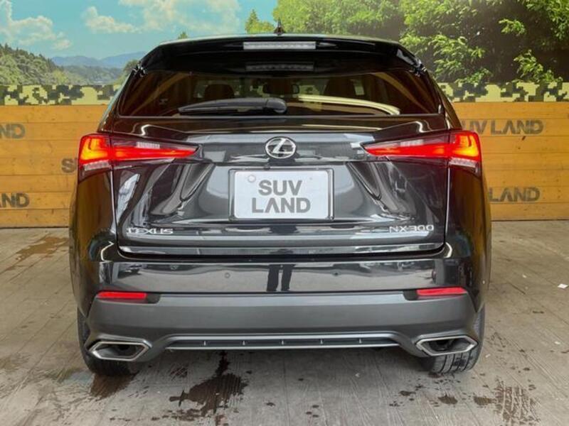 NX