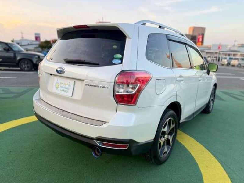 FORESTER