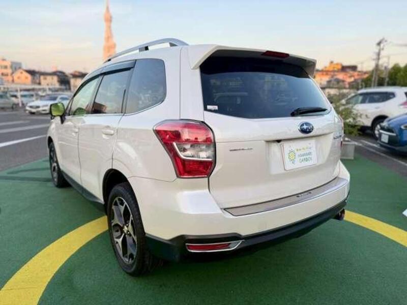 FORESTER