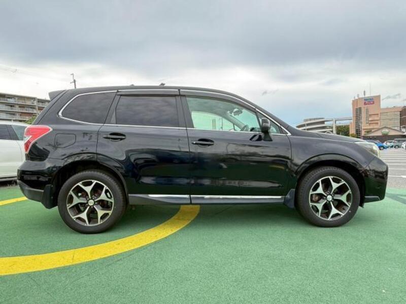 FORESTER