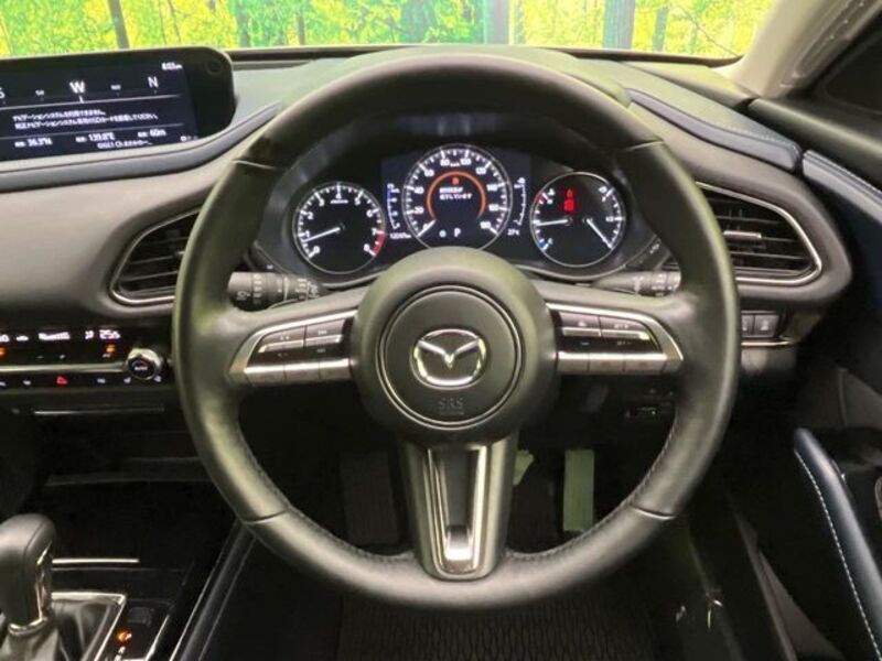 CX-30