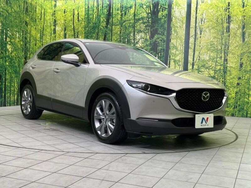 CX-30
