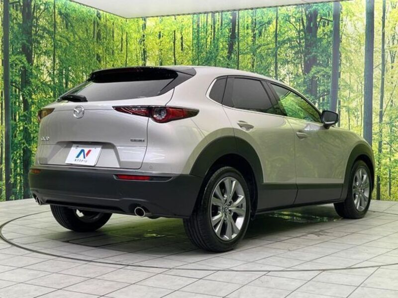 CX-30