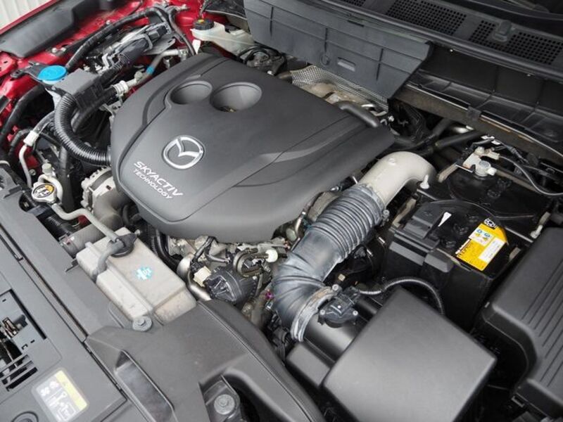 CX-8