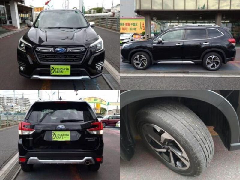 FORESTER