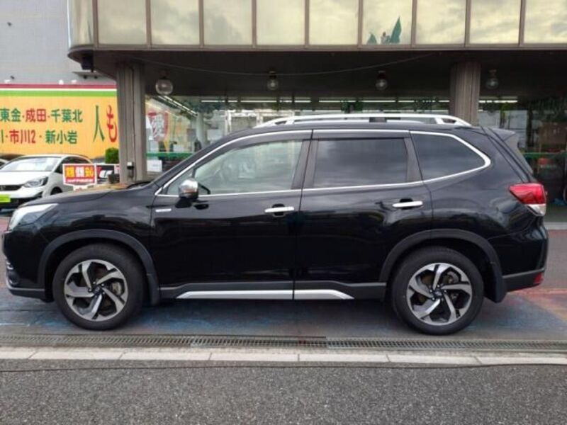 FORESTER
