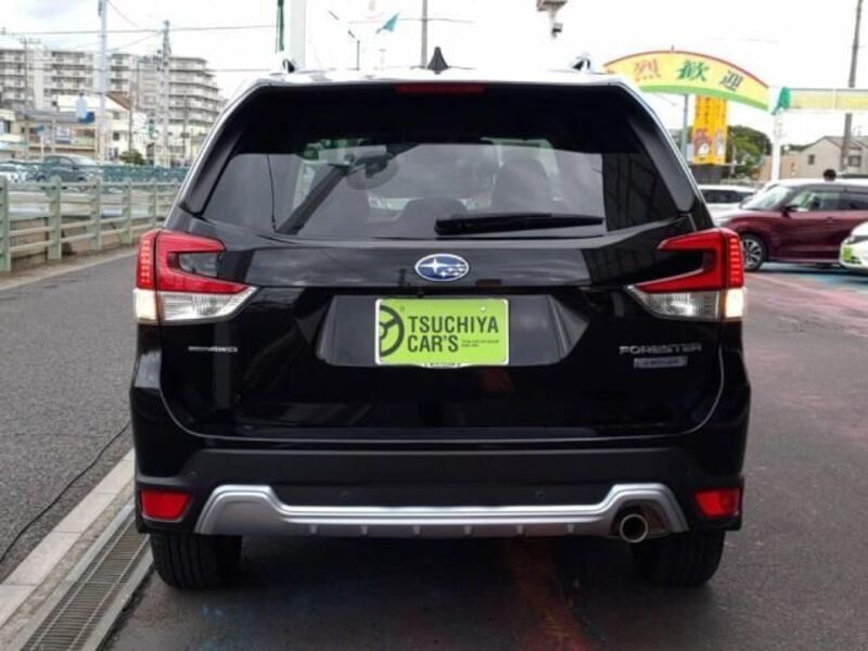 FORESTER