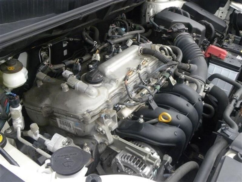 COROLLA RUMION