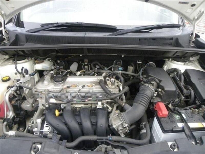 COROLLA RUMION