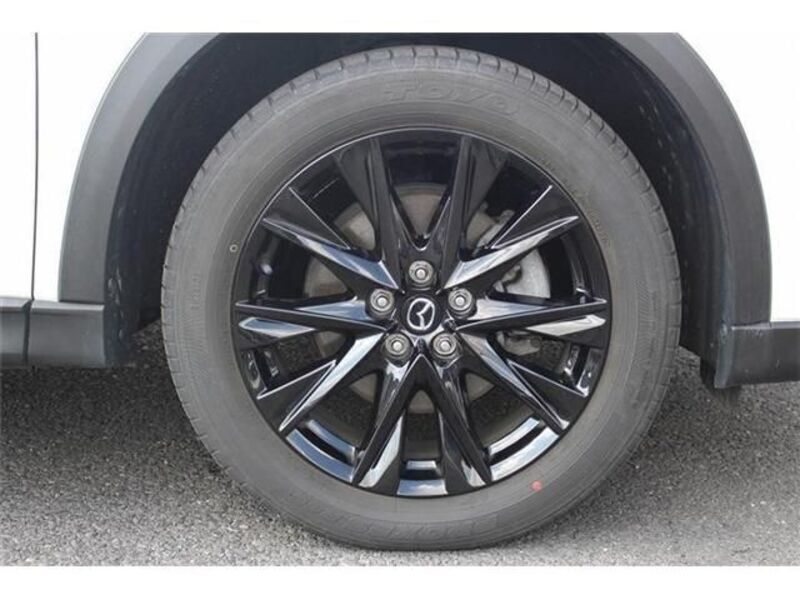 CX-8