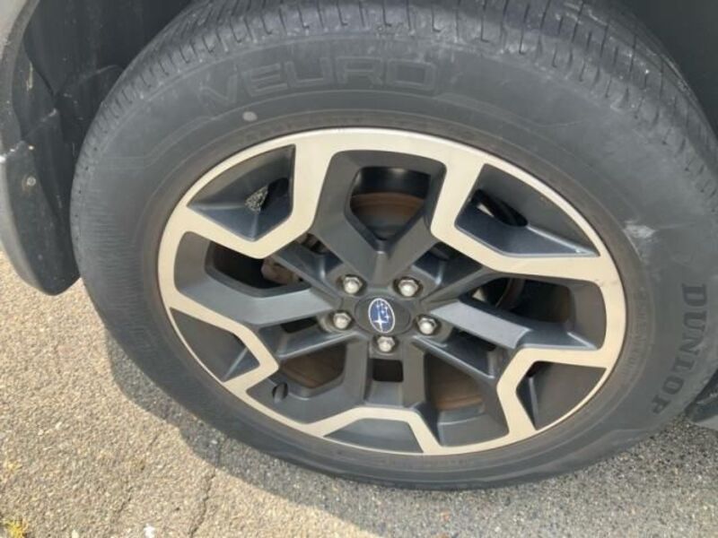 XV