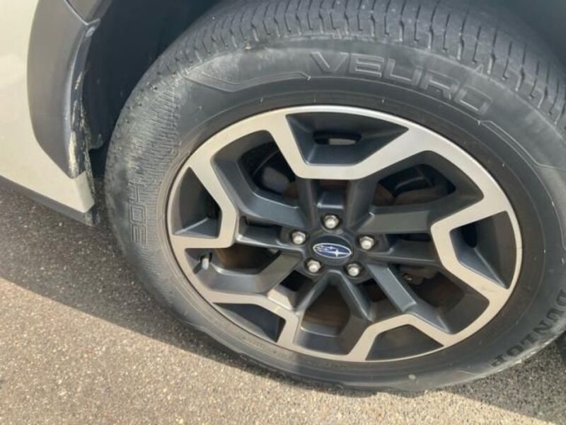 XV