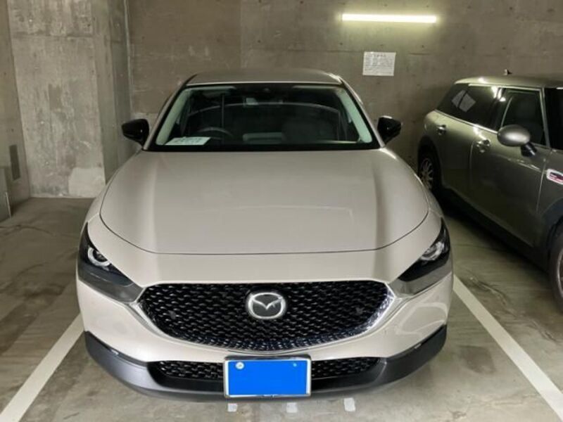 CX-30