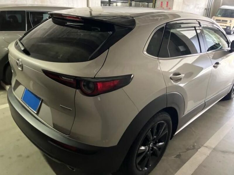 CX-30
