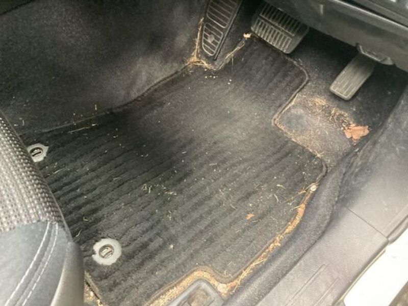 LEGACY OUTBACK