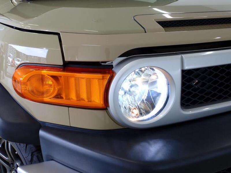 FJ CRUISER