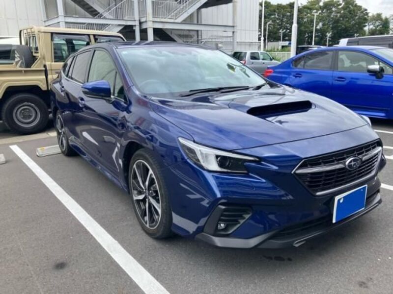 LEVORG