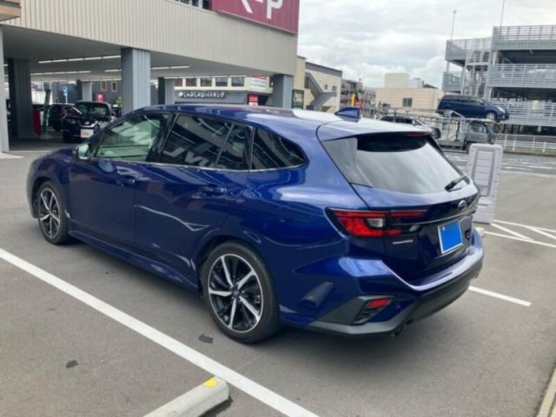 LEVORG