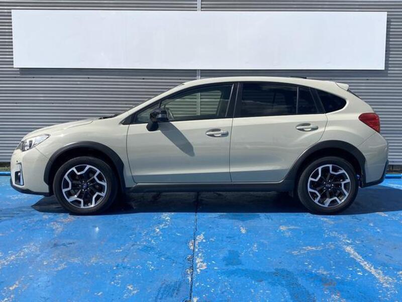 XV