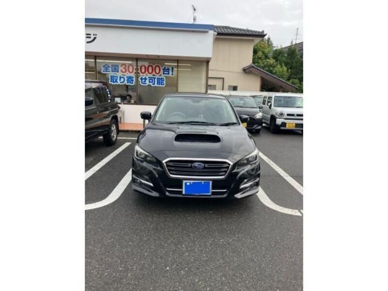 LEVORG