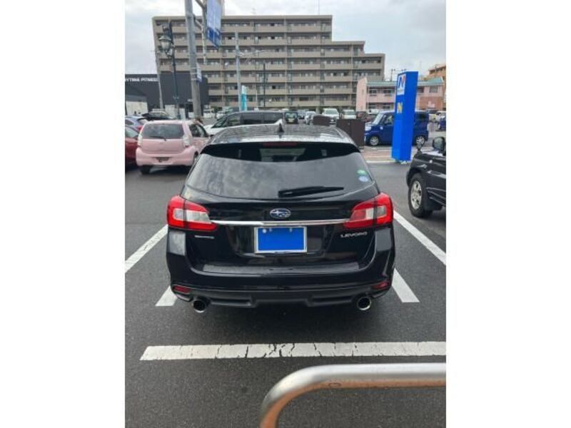 LEVORG