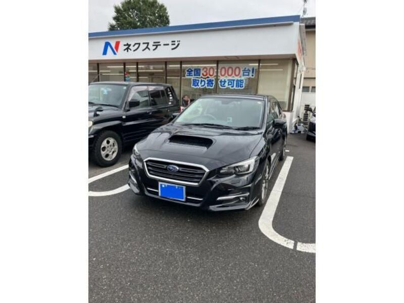 LEVORG