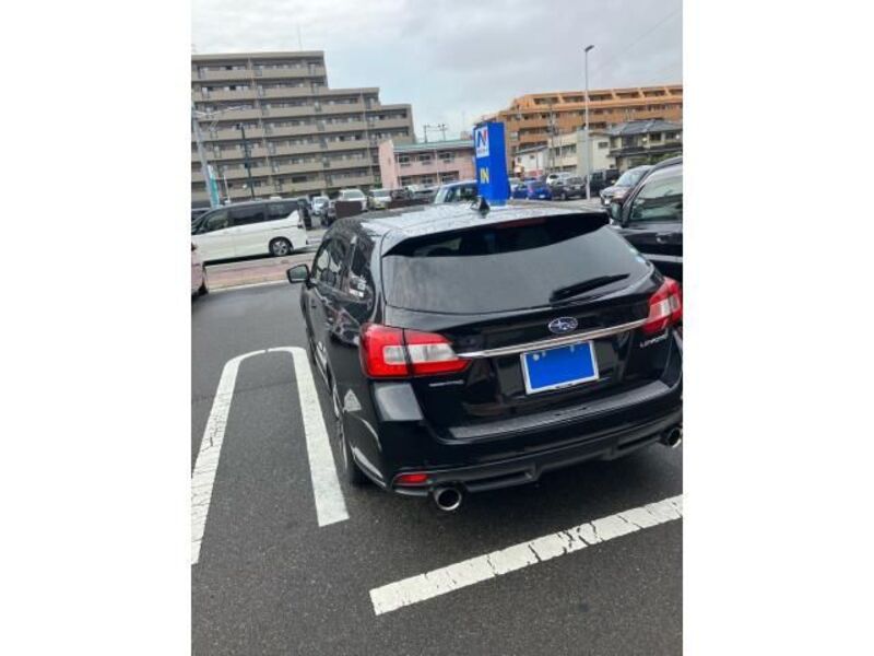 LEVORG