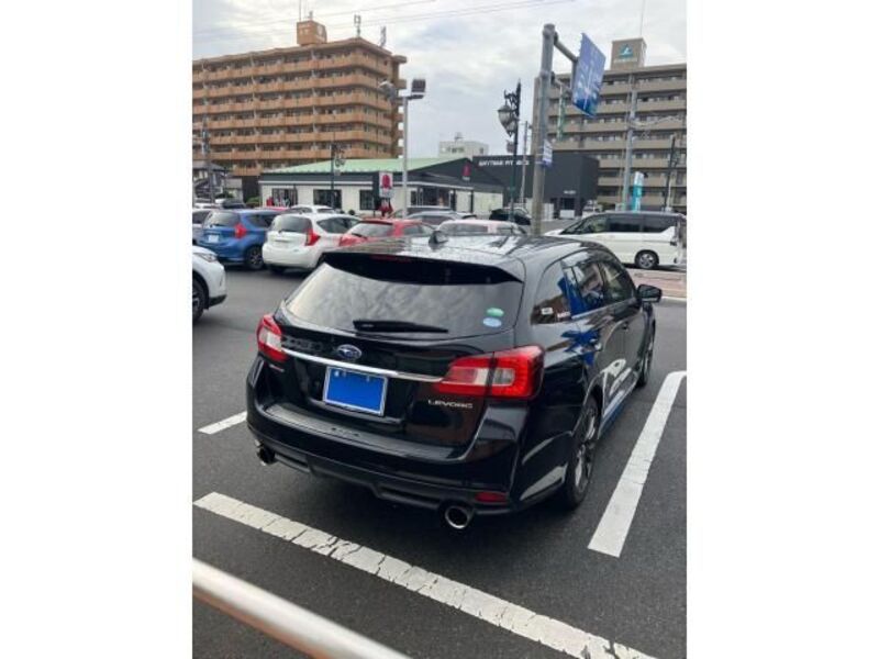 LEVORG