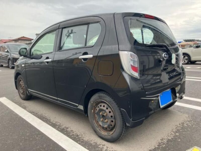 PLEO PLUS