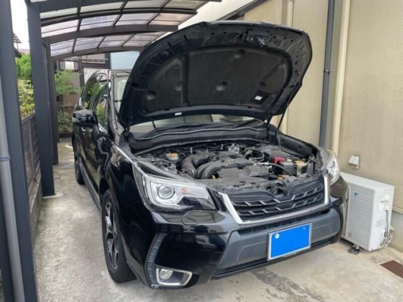 FORESTER-0