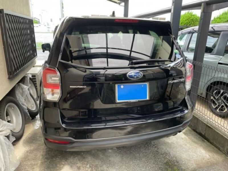 FORESTER