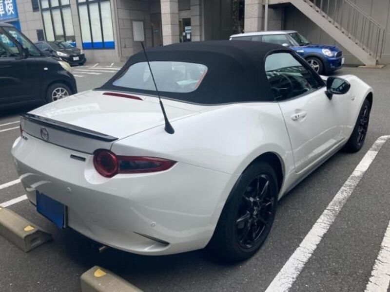 ROADSTER
