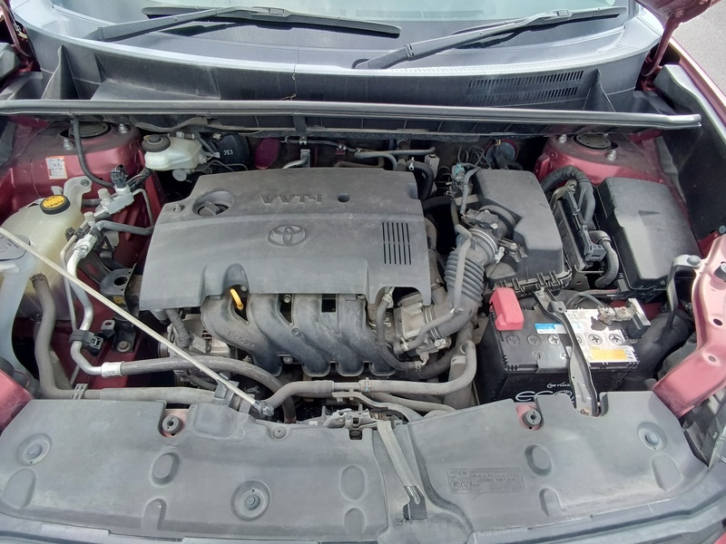 COROLLA RUMION