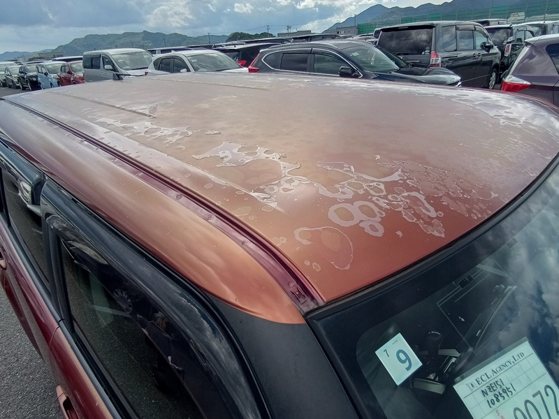 COROLLA RUMION