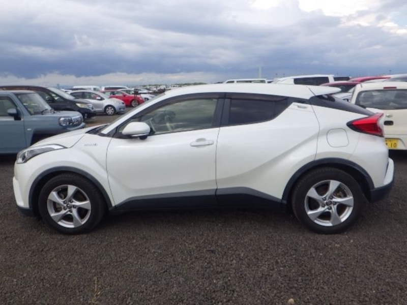 C-HR