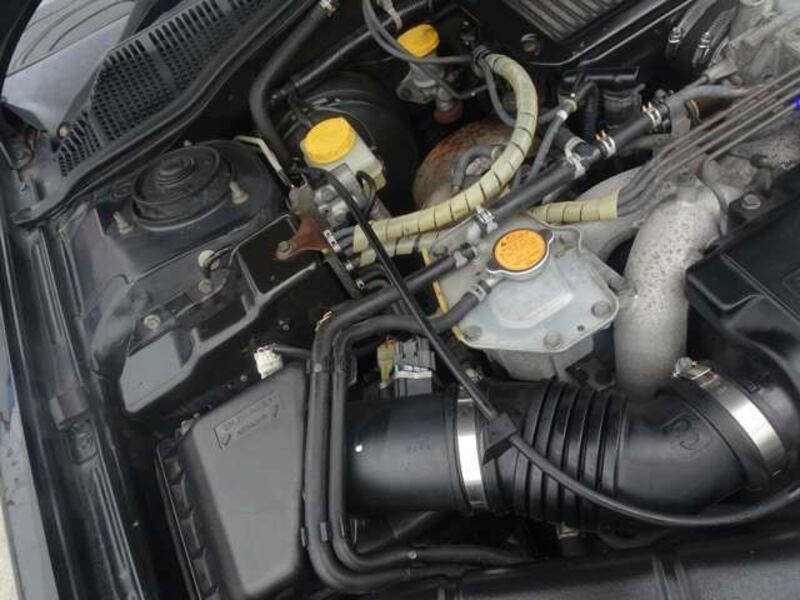 LEGACY B4